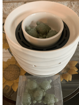 Wax Melter - Turtle Creek Candle Shop