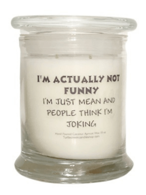 Sarcastic I'm actually not funny... - Turtle Creek Candle Shop